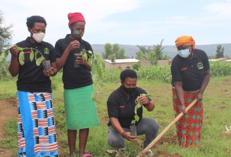 Women in Kayonza District planting trees for climate change mitigation