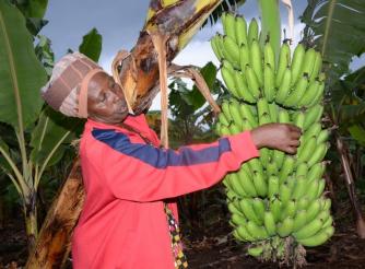 Actionaid Rwanda