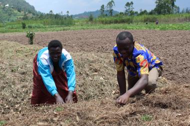 Kanyamugenge and the wife,Nyirasafari,happily working together in their garden